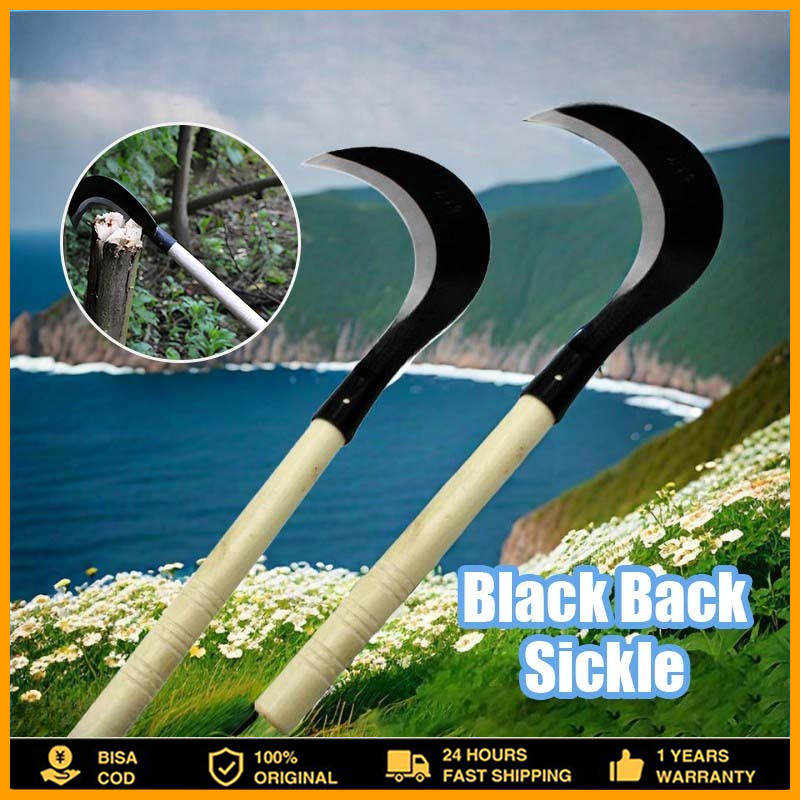 Alat Sabit Baja Ranting Pohon Rumput Arit Padi Pembelah Bambu Pemangkas Pisau Sabit Arit Baja Asli