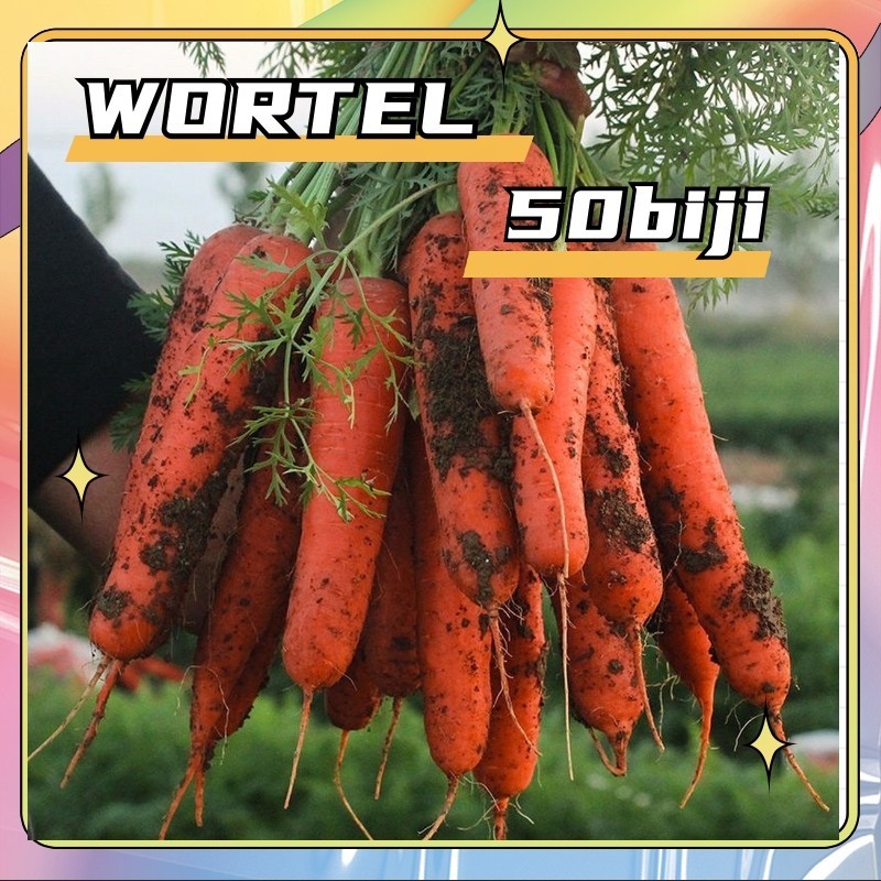 50 Biji - Bibit Benih Sayur Sayuran Wortel Brastagi Medan Unggul