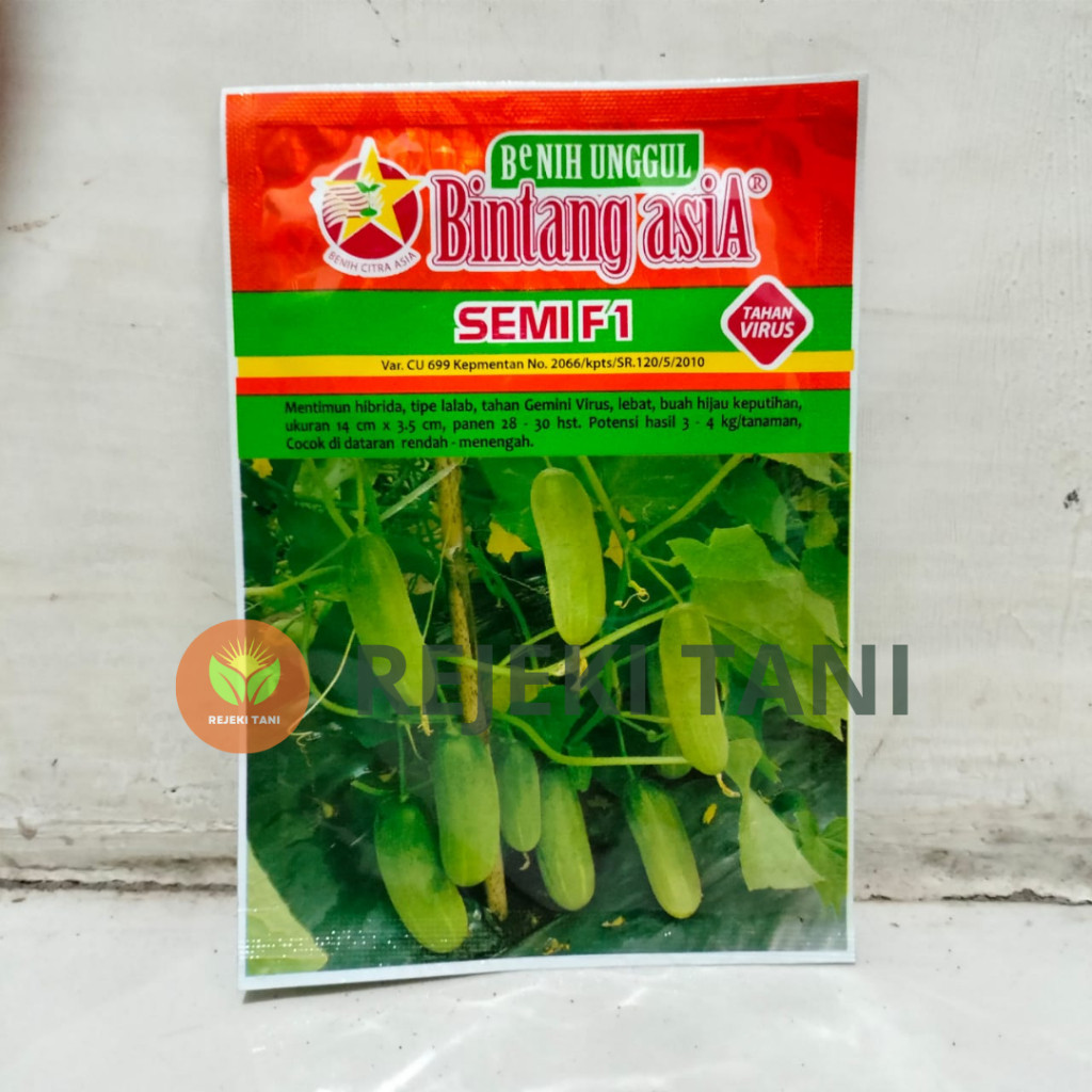Bibit benih Timun Lalap SEMI F1 20 Gram Original Bintang Asia timun baby