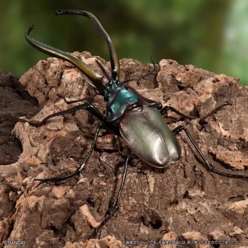 BANDAI Japan Gashapon Figure Anime Cute Assembled Beetle Model 08 Artificial Insect Kawaii Capsule T