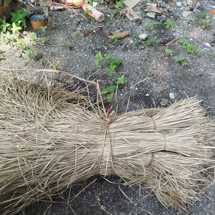 DAUN PANDAN DURI KERING 1 kg - UNTUK KERAJINAN