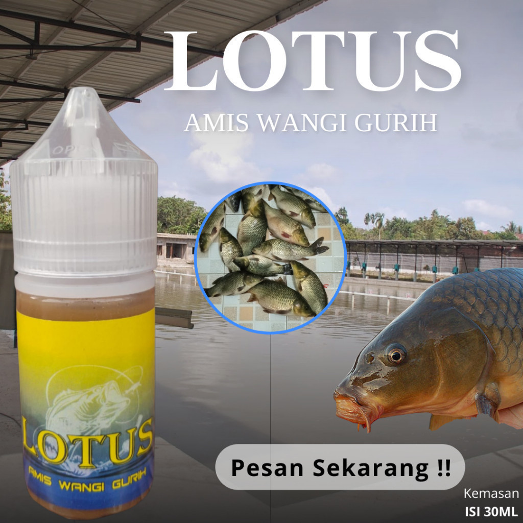Lotus Essen Ikan Mas Amis Wangi Gurih Umpan Ikan Populer