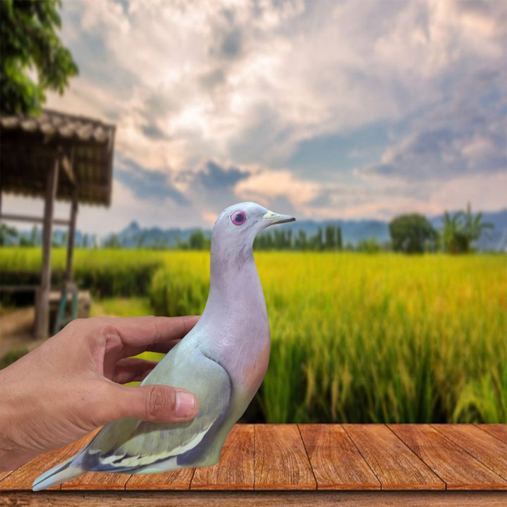 jontrot burung punai / boneka patung manuk walik mirip asli