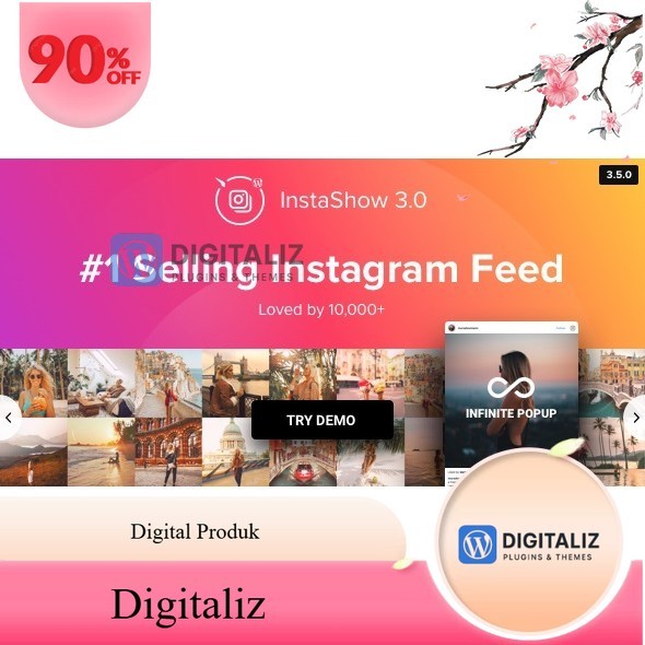 Instagram Feed – WordPress Instagram Gallery