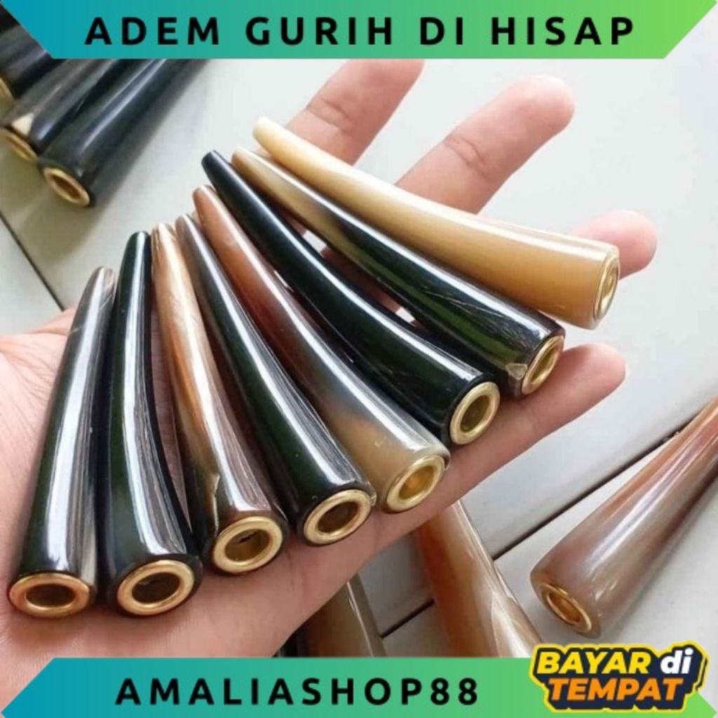 ONCE PIPA TANDUK KERBAU BULE DAN HITAM