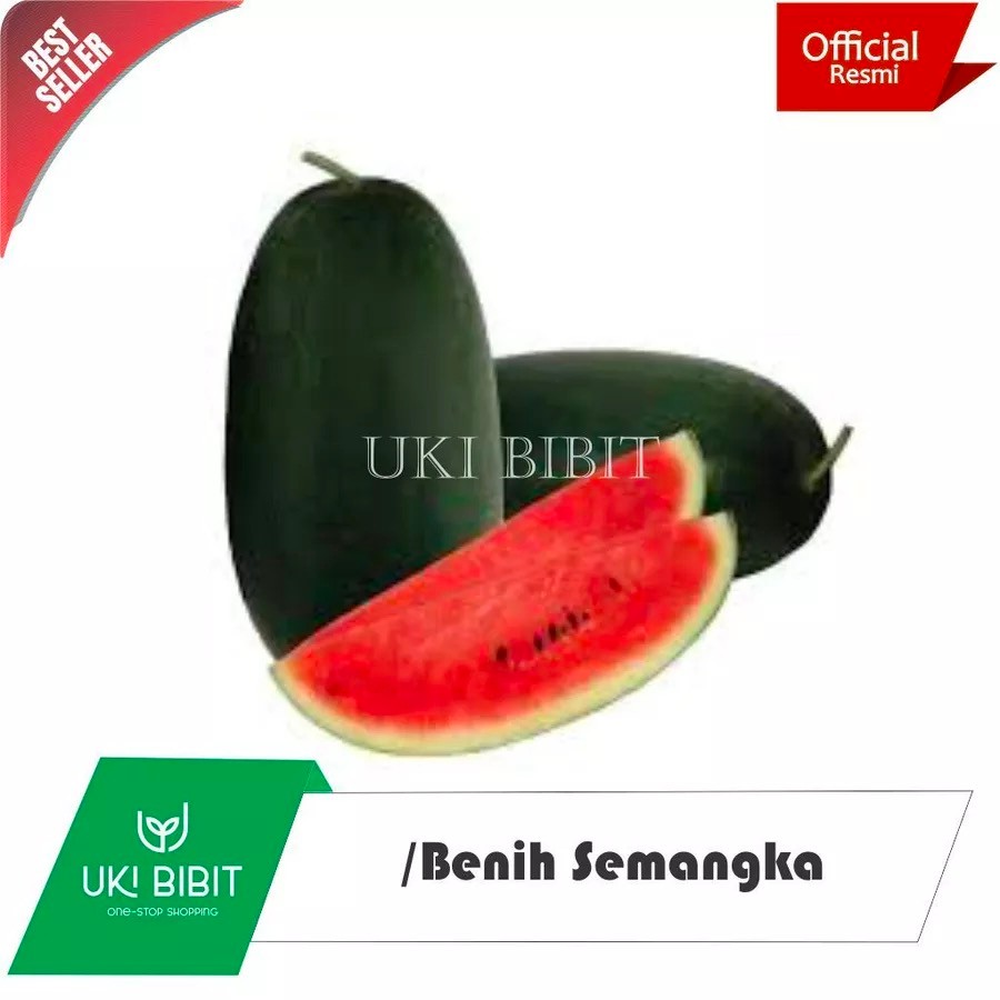 ( 30 Butir ) Benih Biji Semangka Inul Merah | Semangka Inul