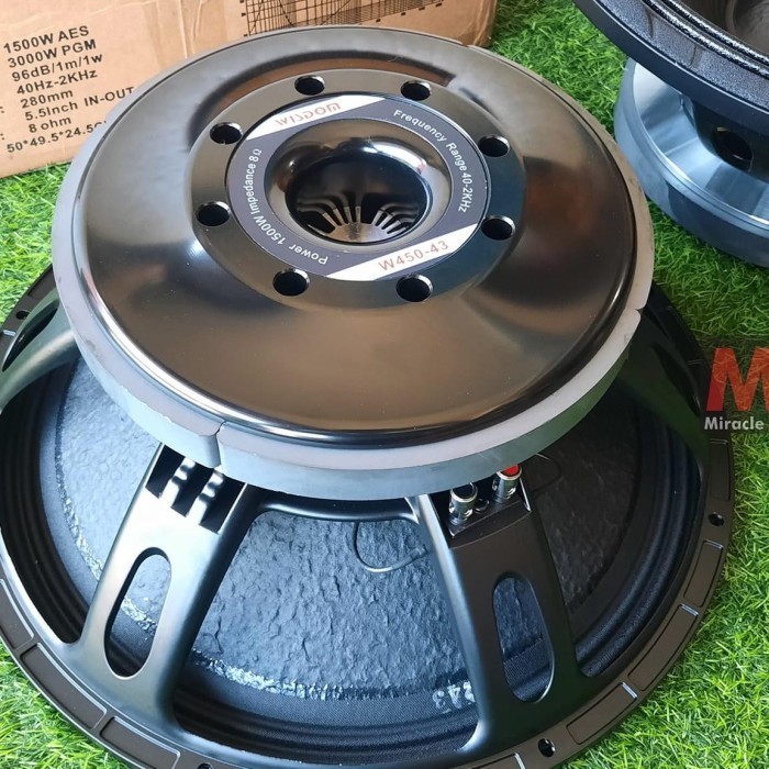 SPEAKER WISDOM 18 INCH W450-43