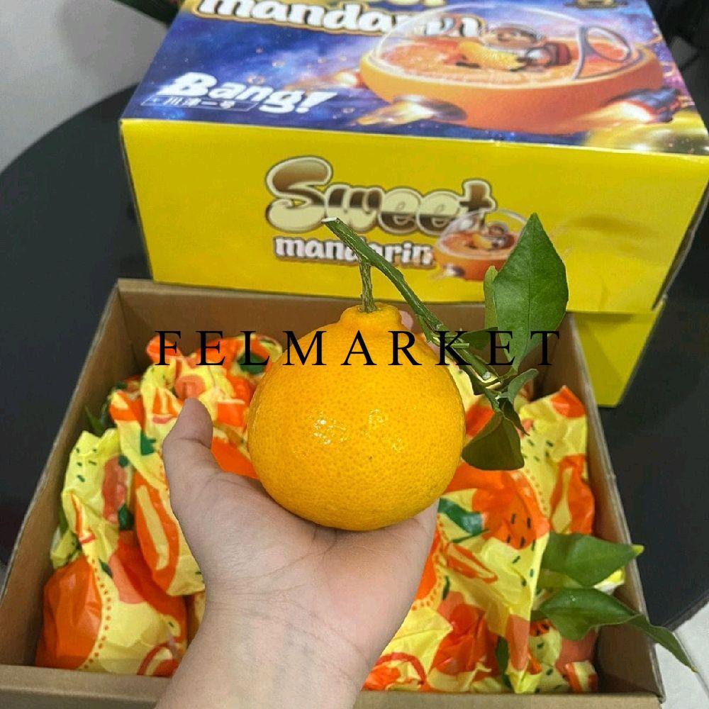 Buah Jeruk Dekopon Fresh / Jeruk Chun Jian / Jeruk Papagan / Dus