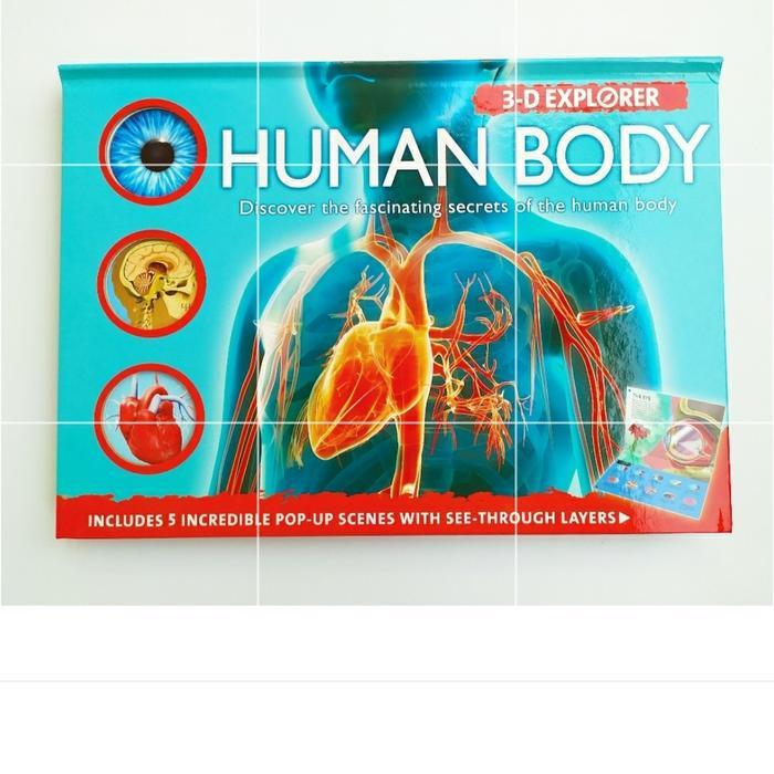 Yourfav Olshop 3-D Explorer: Human Body