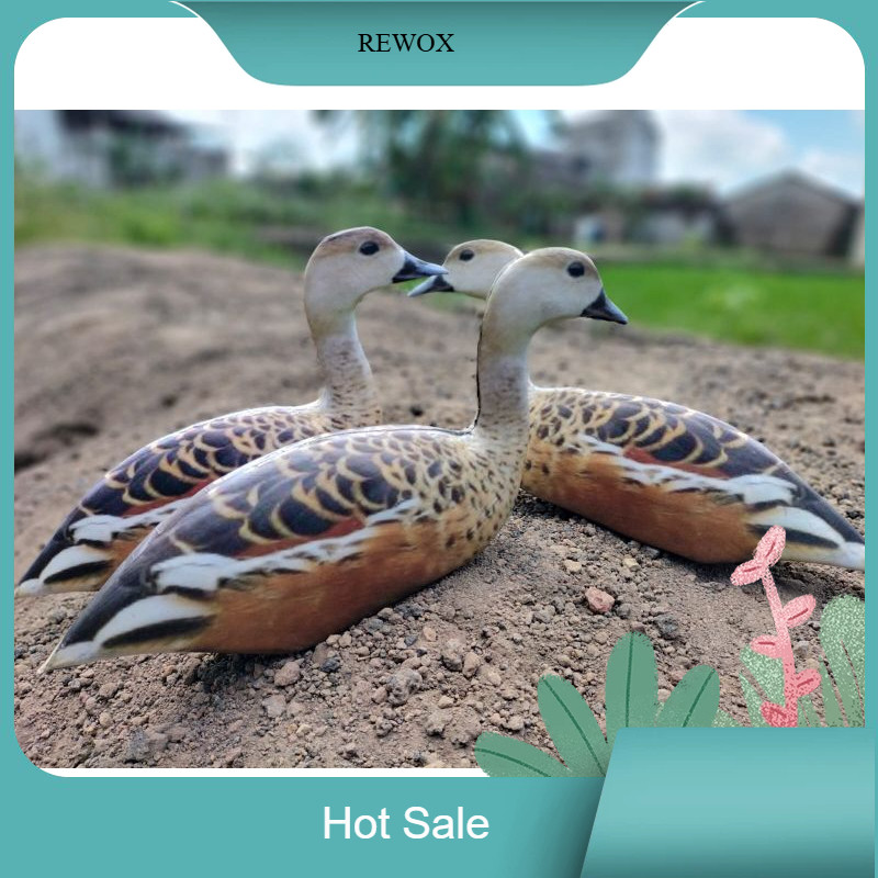 COD PATUNG JONTROT BELIBIS KEMBANG MIRIP ASLI - JONTROT BURUNG BELIBIS KEMBANG - DECOY BURUNG BELIBI