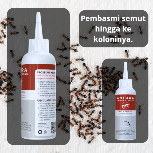 Antura Racun Semut / Racun Semut Paling Ampuh