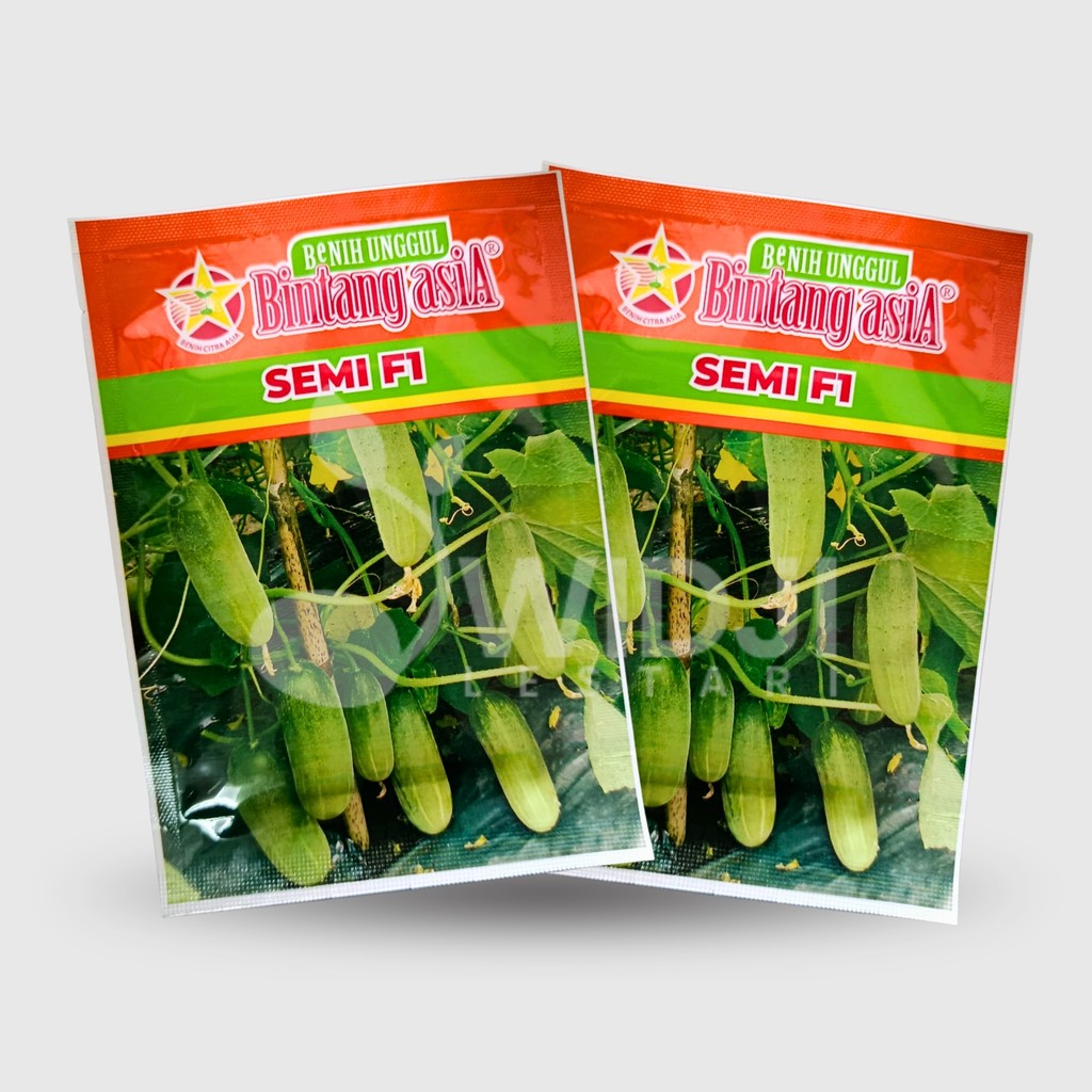 Timun Semi F1 20gr Timun Lalap Hibrida Timun Origina[ Hijau