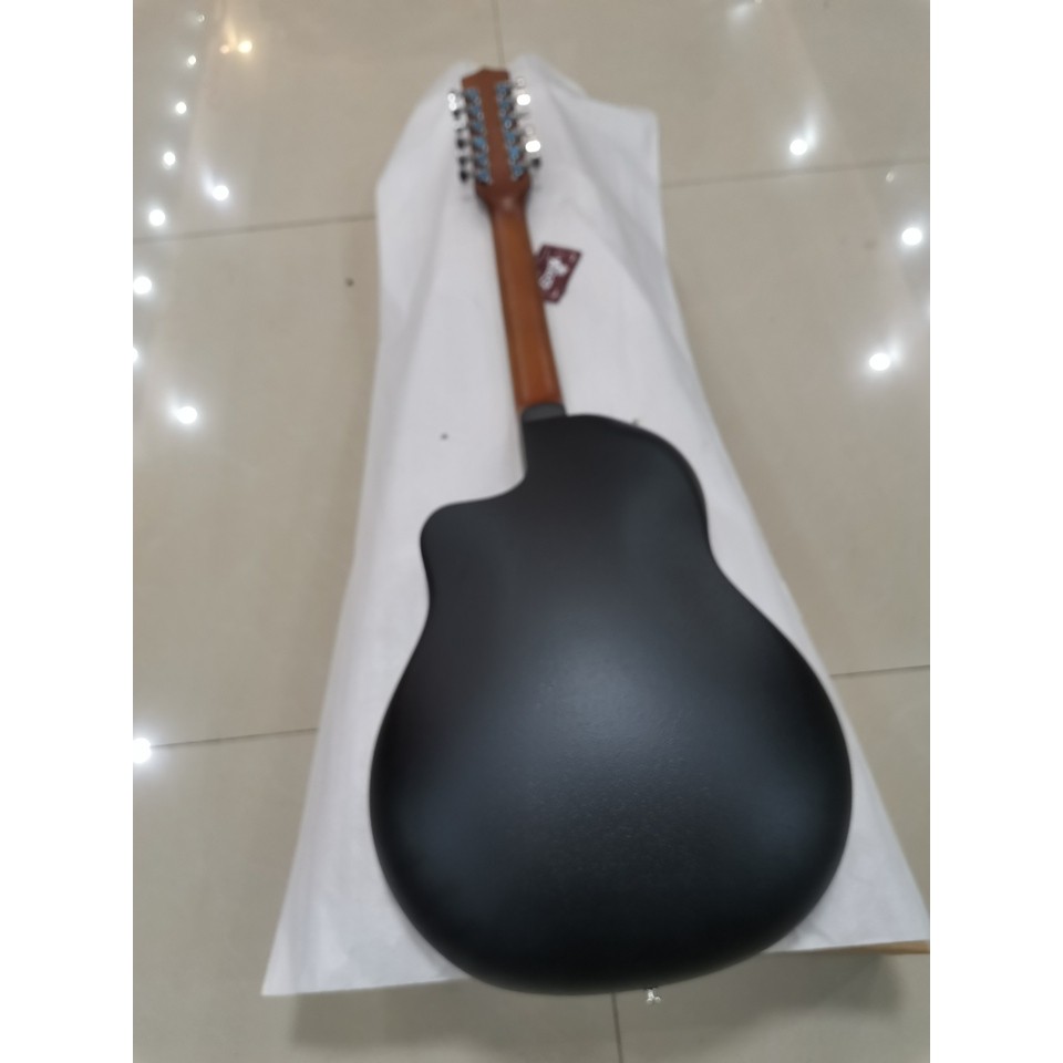 12 - string  Turtle Back  Acoustic  Guitar