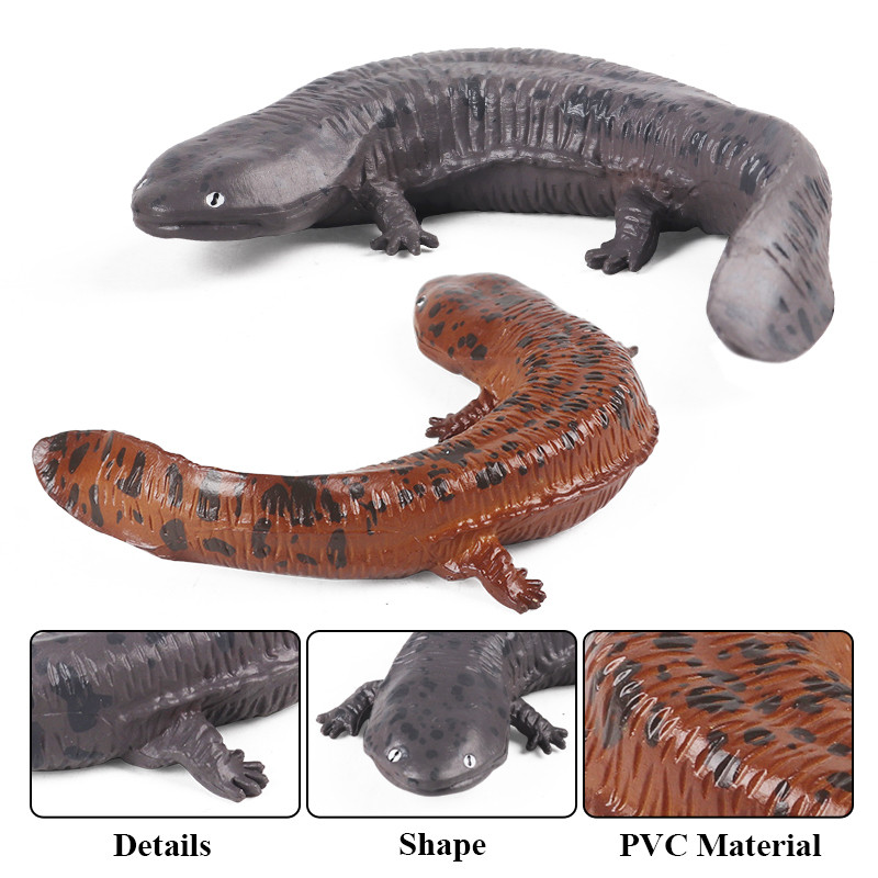Oenux Amphibians Aquatic Animal Newt Salamander Cryptobranchoidea  Animals Model Action Figure Educa