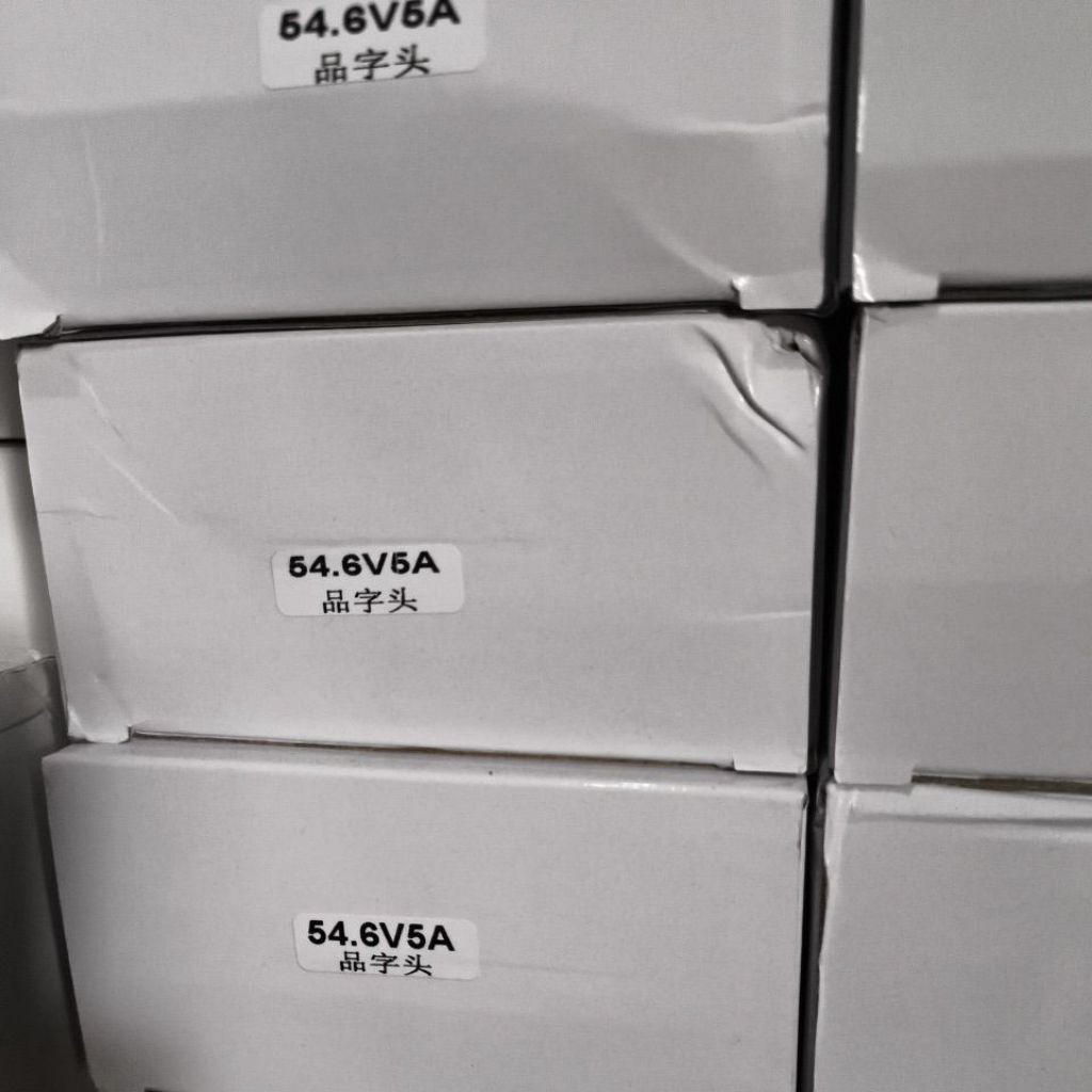 Dc CHARGER Lifepo4 Motor Listrik / Charger Lifepo4 Sepeda Listrik / Charger Lithium 60v Charger Lith