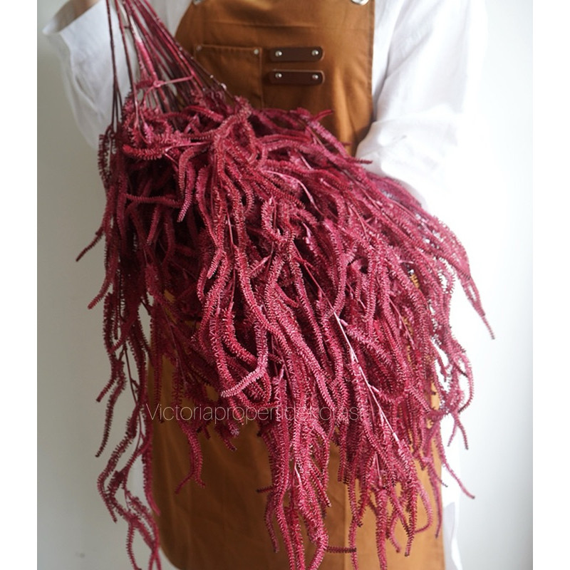 Aksesoris Juntai Asparagus Dekorasi Premium Quality