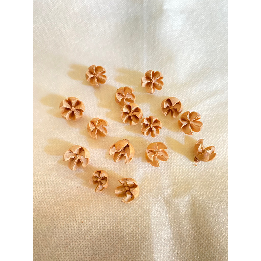 (5 biji) Kolase Biji Puspa Biji Puspo Bunga Waru Properti Foto, Hiasan Mahar, Hiasan bingkai rustic