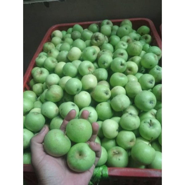 Apel Mini Asli Batu Malang Hijau 1 Kg