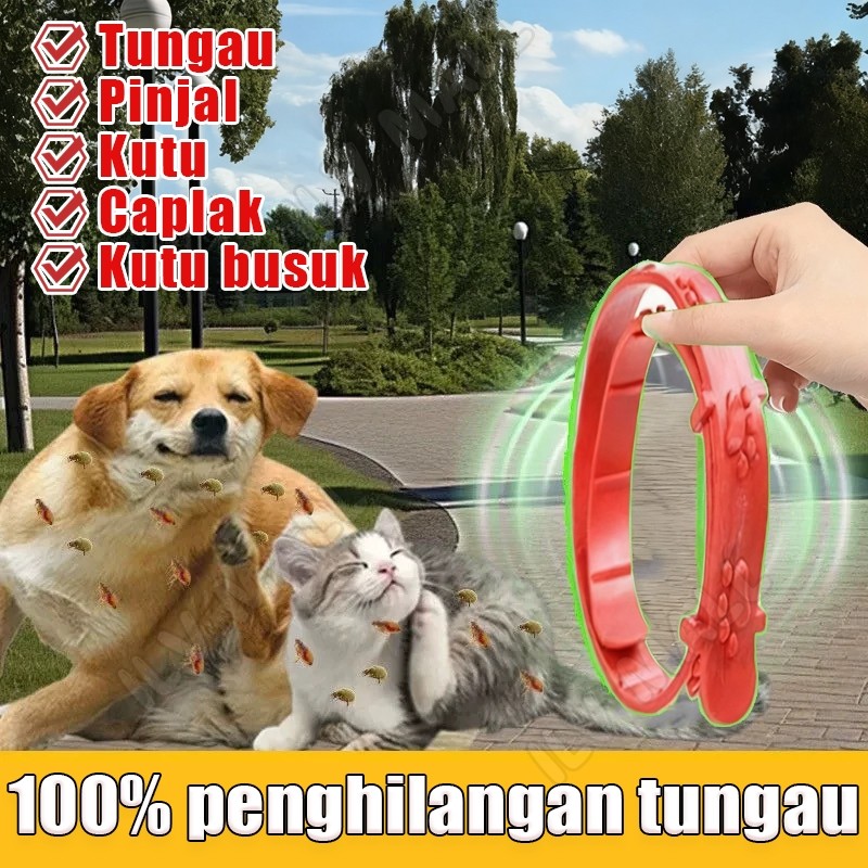 (FRESSY) kalung kucing anti kutu dan jamur kalung anti kutu kucing/anjing kalung kutu kucing yang am