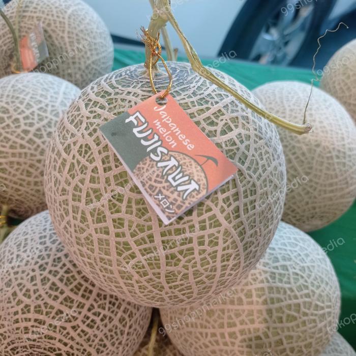 Melon Fujisawa melon Jepang manis lembut 1.6 kg