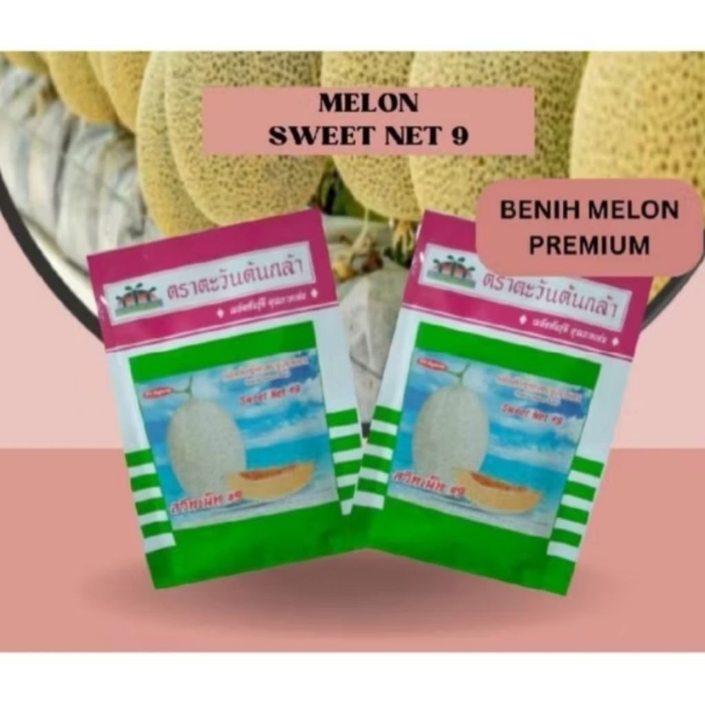 500 Biji Benih Melon Sweet Net 9 F1 Original