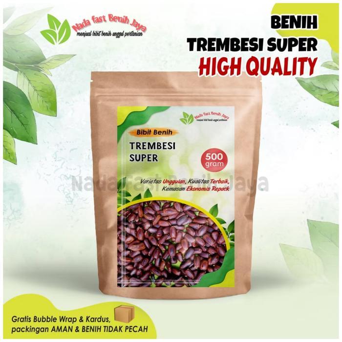 500 Gram Biji benih pohon trembesi super / bibit tanaman biji trembesi