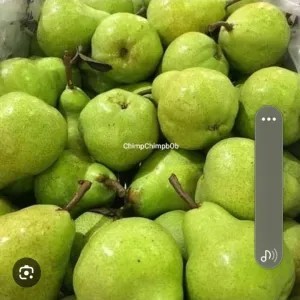 pir jambu hijau 1kg PROMO