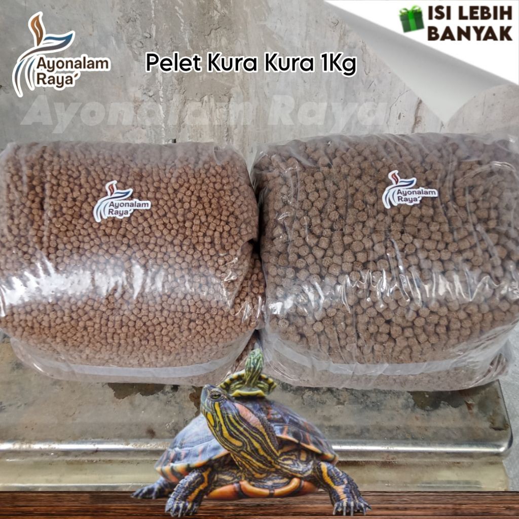 Ready Pakan Kura Kura Brazil Makanan Pelet Kura Kura Brazil Kecil Besar Jumbo