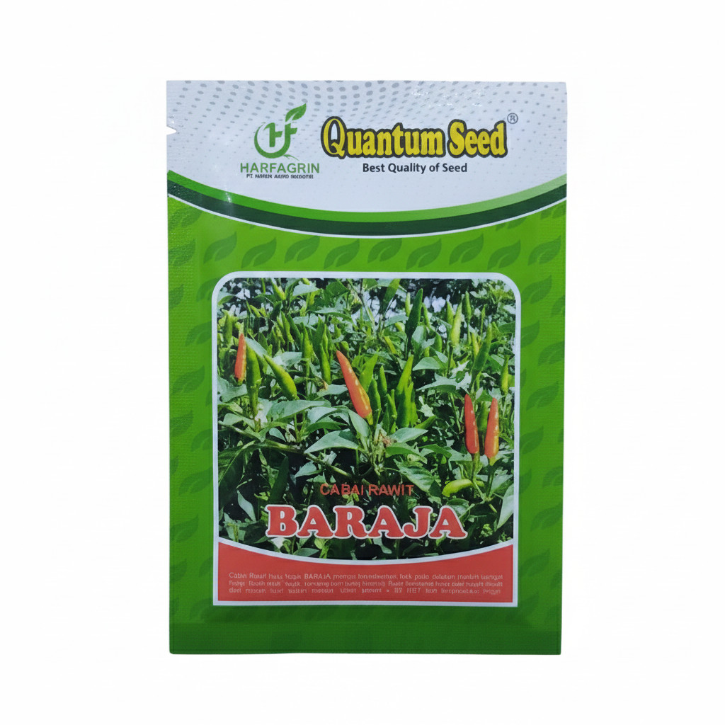 Benih Cabe Rawit Hijau Tegak BARAJA 10 Gram Biji Bibit QUANTUM SEED