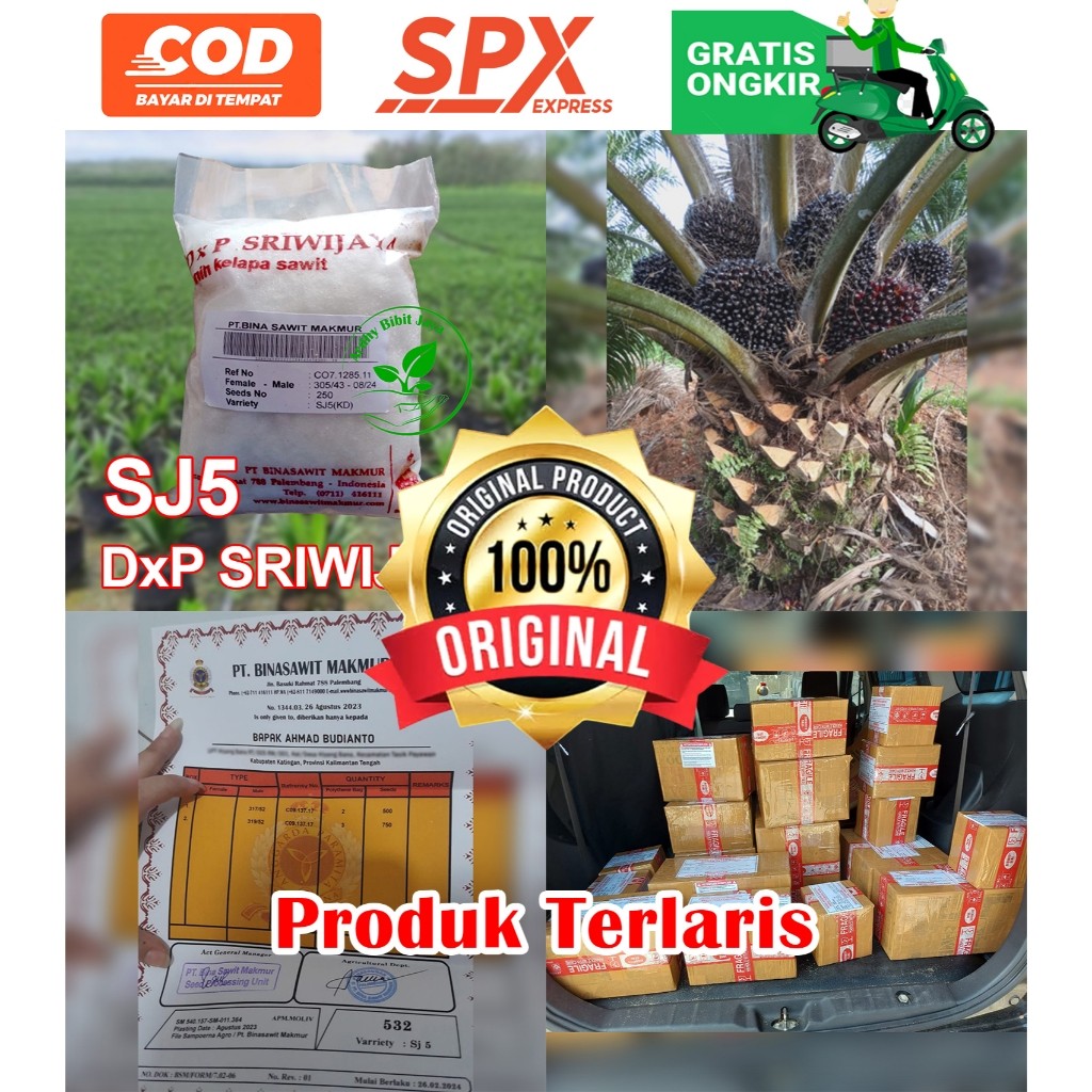 DxP SRIWIJAYA SJ5 UNGGUL DAPAT SERTIFIKAT