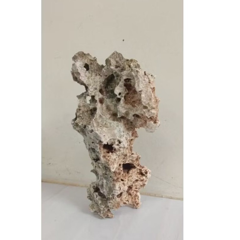 Batu karang bolong untuk bonsai/aquarium