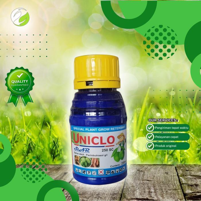 Fungisida UNICLO untuk zat pengatur tumbuh pada tanaman mangga/apel/nanas