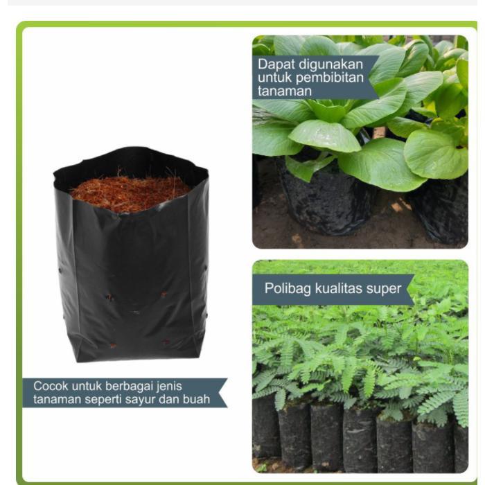 For salePolibag Tanaman 30x30 isi 80 Lembar/ Polibag murah / Polibag Tanaman Tebal - As picture show