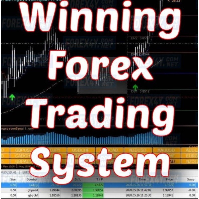 Forex Indicator Winning Forex System