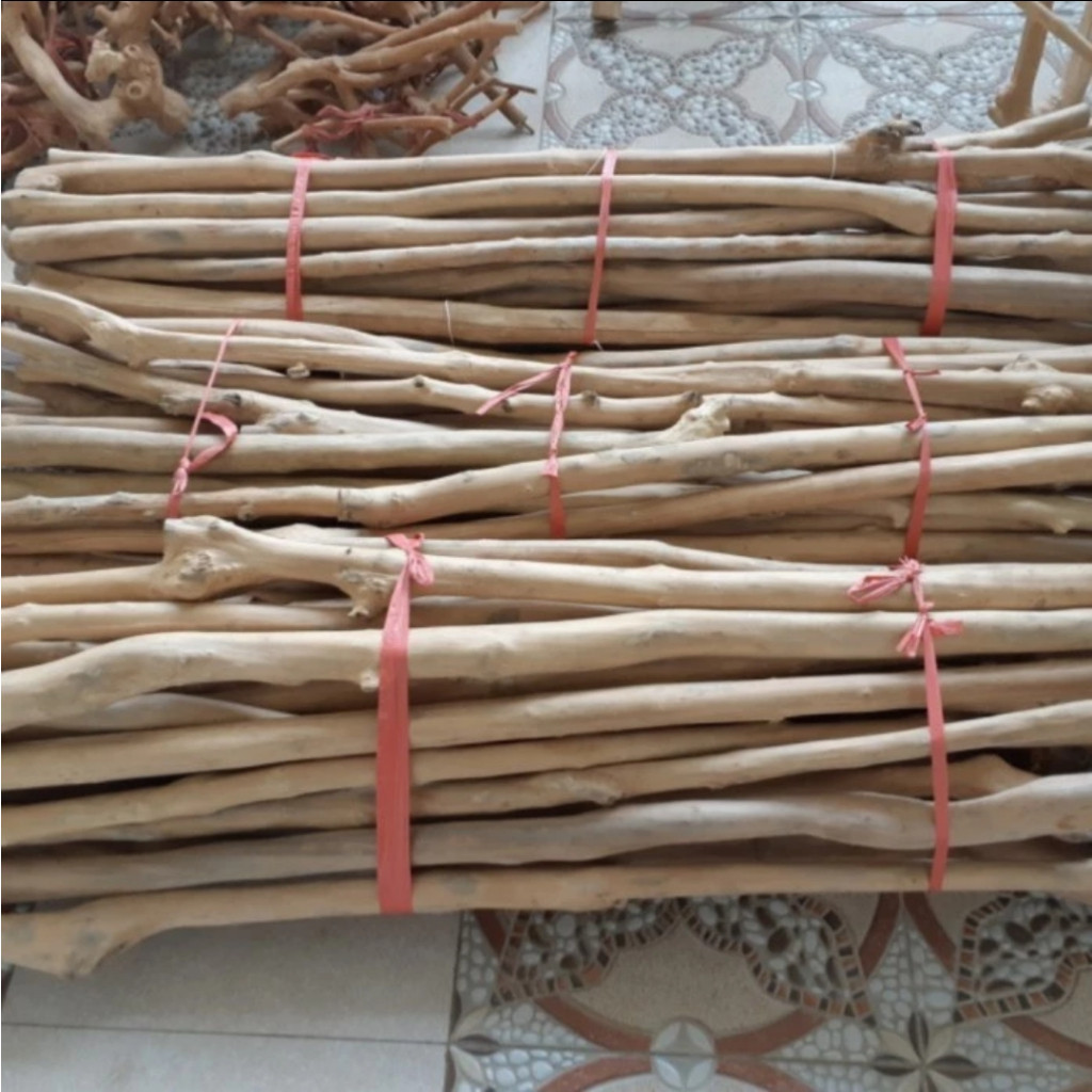 TANGKRINGAN KAYU KOPI TENGGERAN PANJANG 1.2 M BURUNG MACAW AFGREY RING