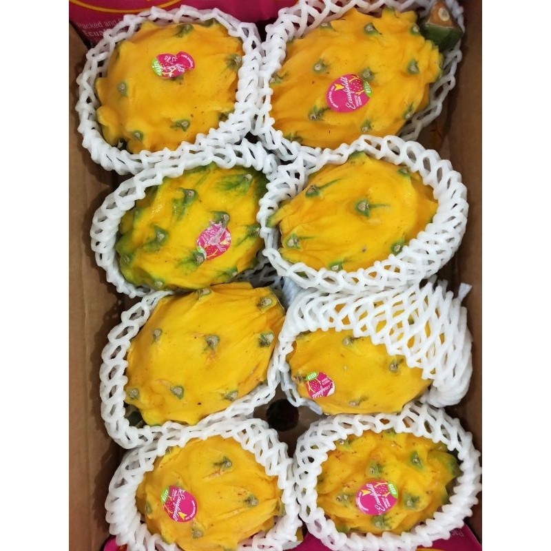 Buah Naga Kuning Import Equador / Pcs