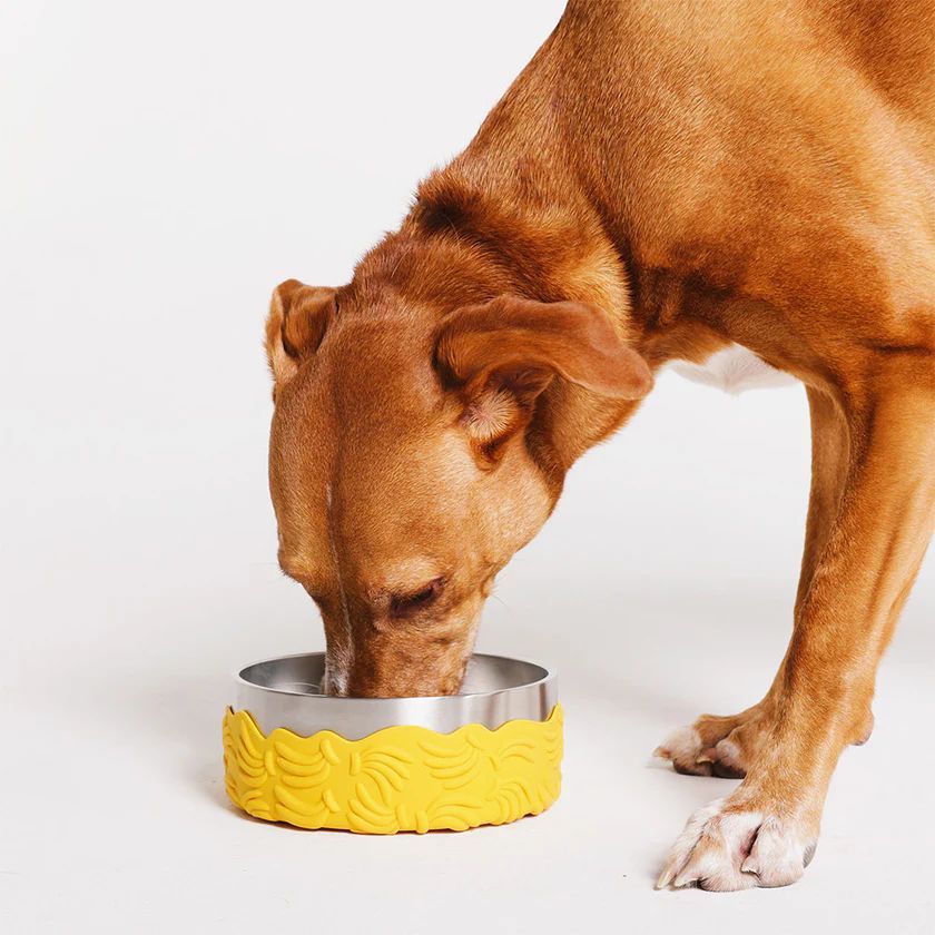 Farm Rio X Zee Dog Bossa Banana Tuff Bowl Limited Edition Collection