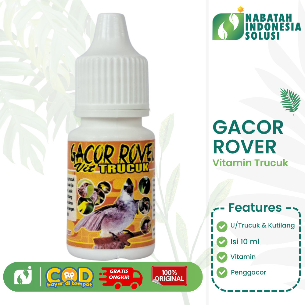 VITAMIN GACOR ROVEL BURUNG TRUCUK VITAMIN PENGGACOR  BURUNG
