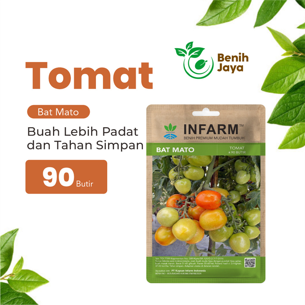 BENIH JAYA - Benih Tomat Batmato Unggul, Bibit Sayuran Buah Tomat Hibrida Bibit Tomat Super Premium