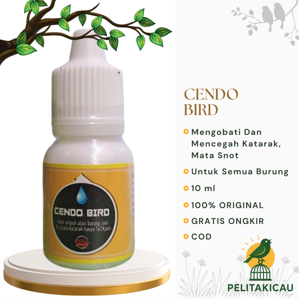 Cendo Bird Obat burung Sakit Mata Katarak berlendir berair Mata Snot