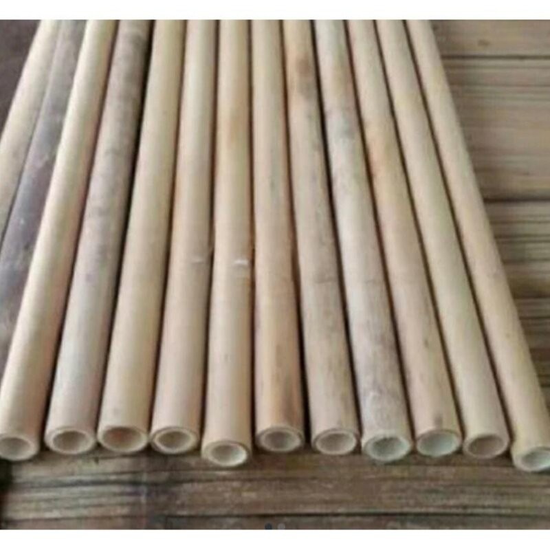 Bambu Tamiang panjang 60 cm super