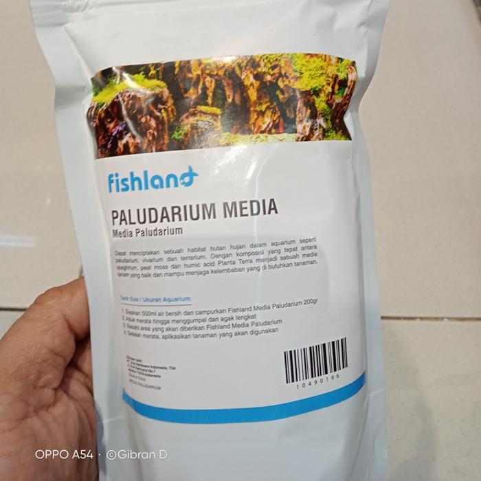Fishland media tanam paludarium