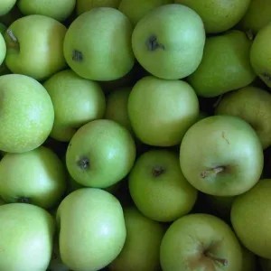 Apel malang hijau 1kg PROMO HEMAT