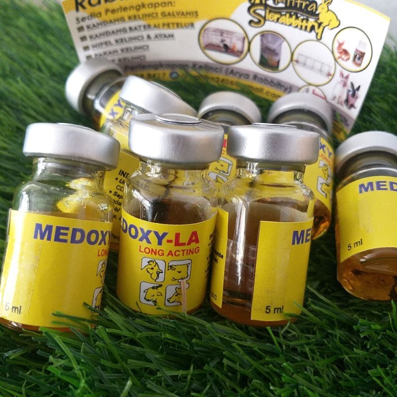 MEDOXY-LA 5ML INJEKSI MEDOXY LA MEDION ANTIBIOTIK OBAT AYAM KUCING KELINCI SAPI KAMBING BABI KUDA