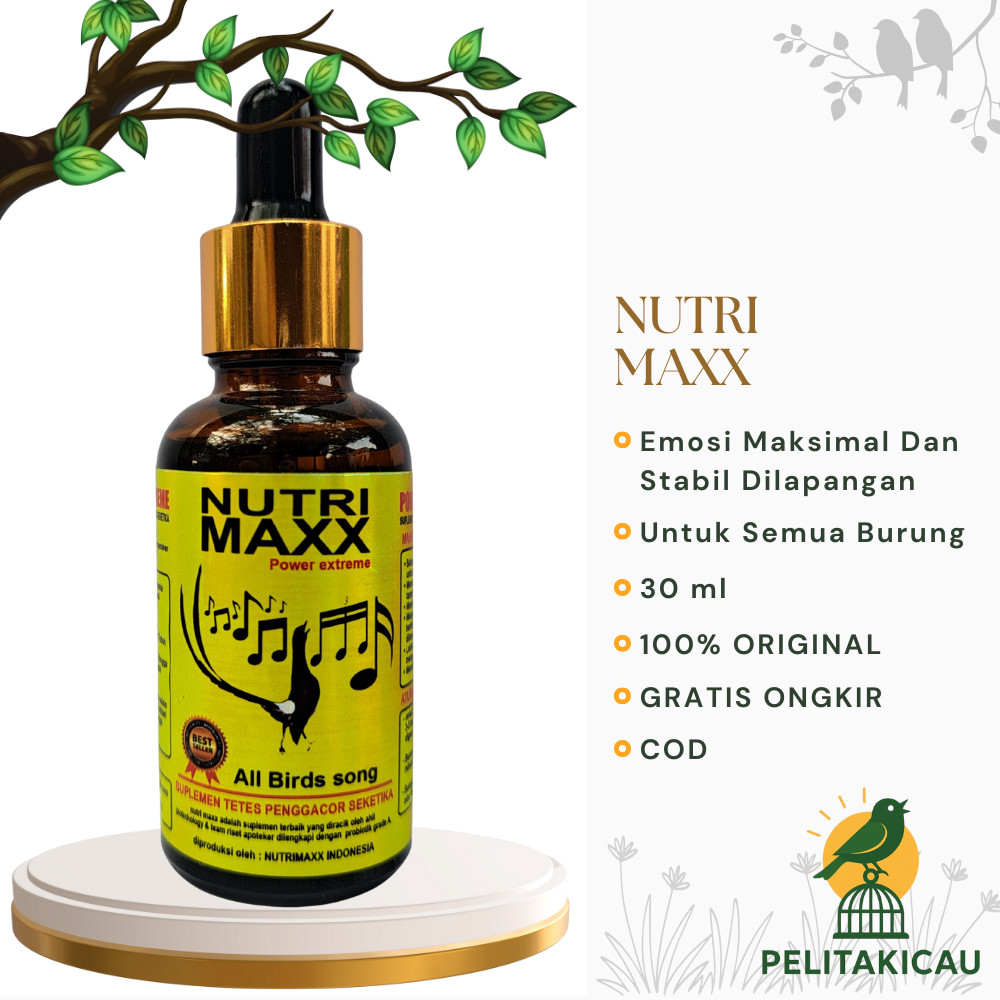 Nutrimaxx Power Extreme Vitamin Burung Penggacor Burung Kicau Dengan Probiotik Grade A Aktif