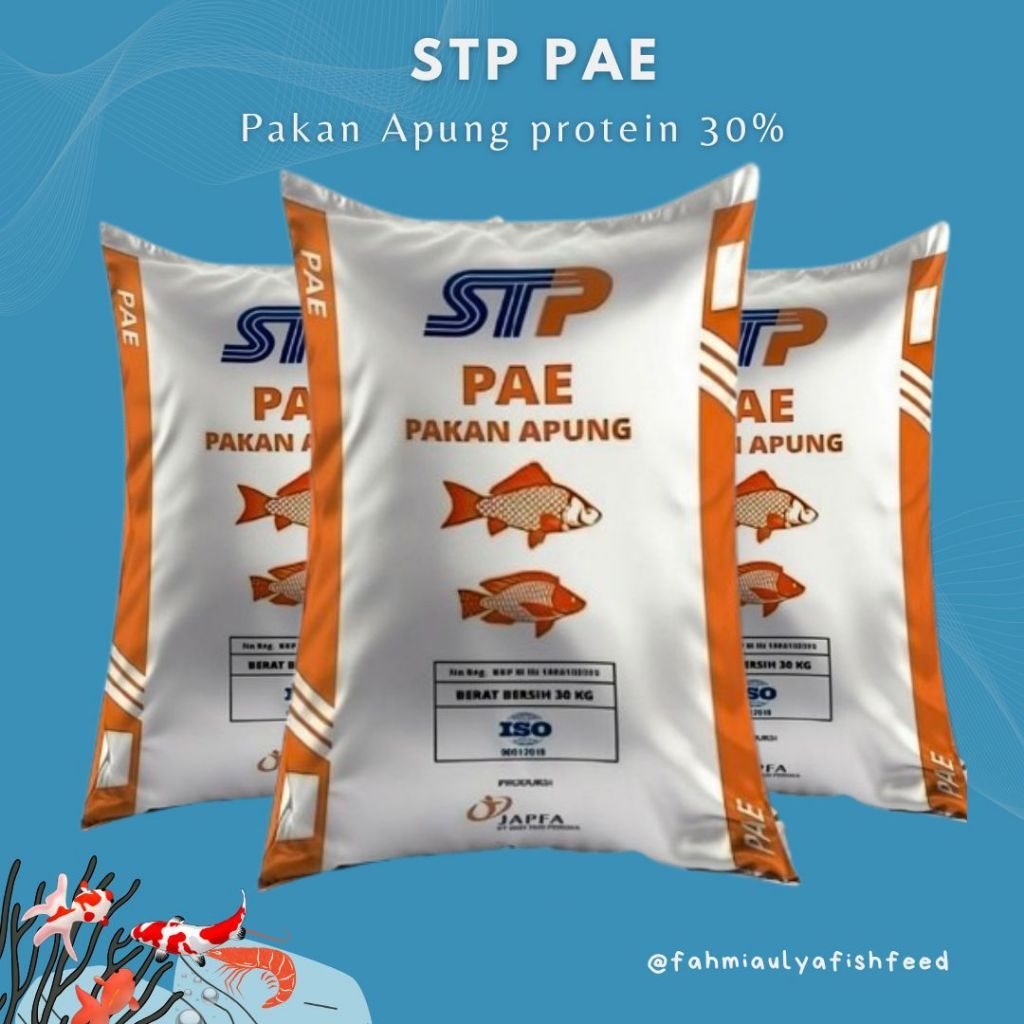 PAKAN IKAN MURAH (KEMASAN 2 KG) STP PAE PROTEIN TINGGI 28-30% PAKAN APUNG IKAN BANDENG, LELE, MUJAER