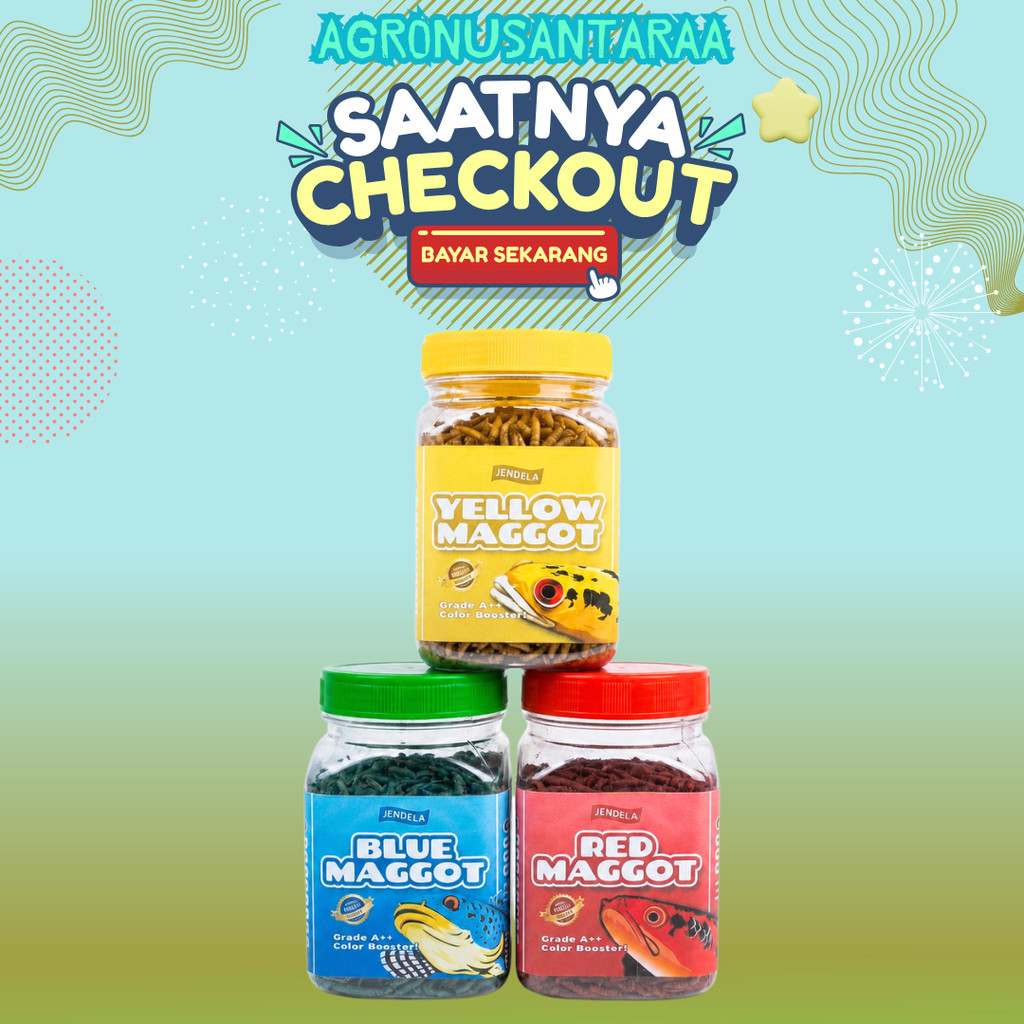 JENDELA MAGGOT BSF KERING ALL COLOUR 30 GRAM GRADE A++ - Pakan Ikan Ukuran Besar Untuk Ikan Channa O