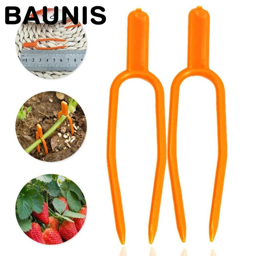 Baunis Klip Penjepit Batang Tanaman Rambat Merambat isi 100 Pcs
