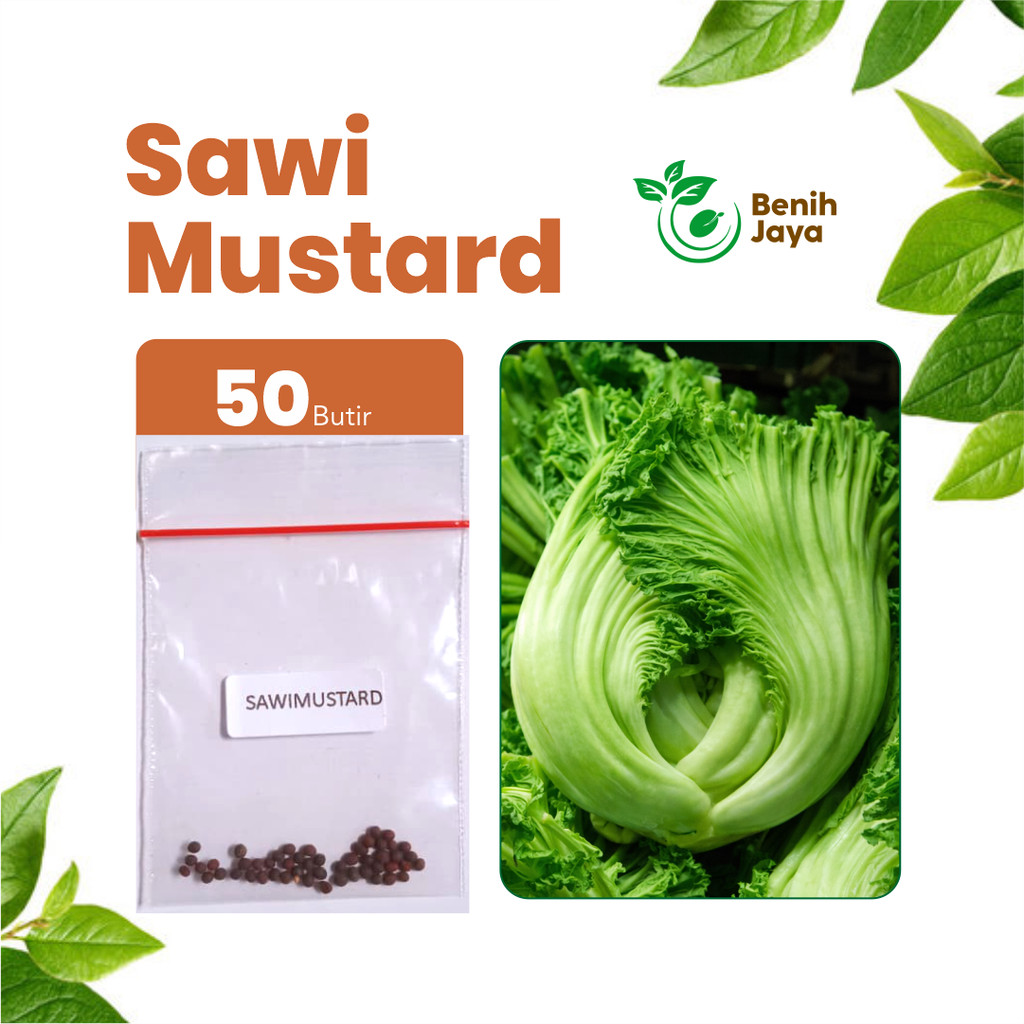 BENIH JAYA - Benih Sayur Sawi Mustard, Bibit Sayuran Sawi Mustard Unggul Bibit Sayuran Super