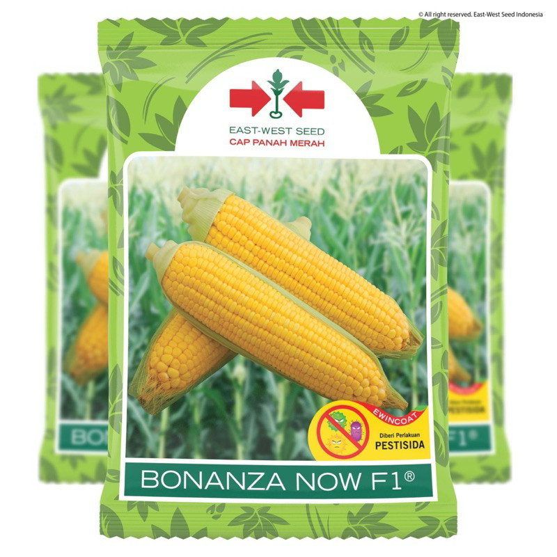 new Benih Jagung BONANZA NOW F1 / Benih Jagung Manis Bonanza noiw F1 isi 1800 butir
